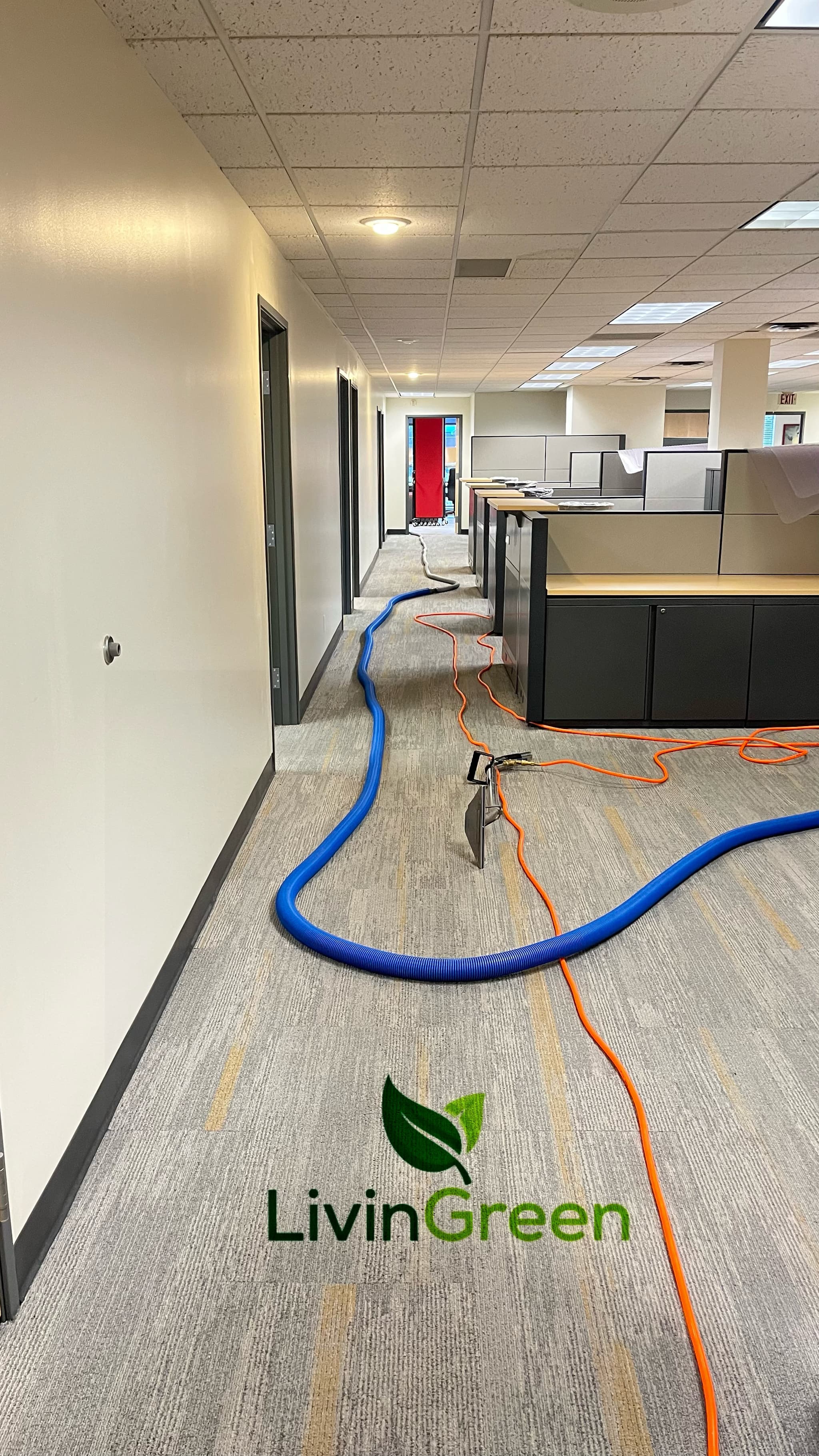 LivinGreen Professional Cleaning 10