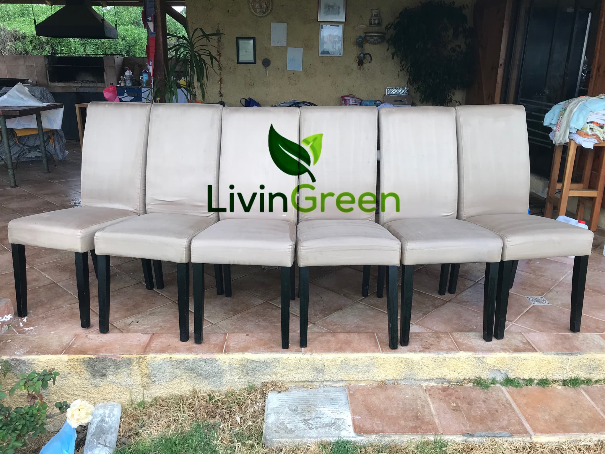 LivinGreen Professional Cleaning 12