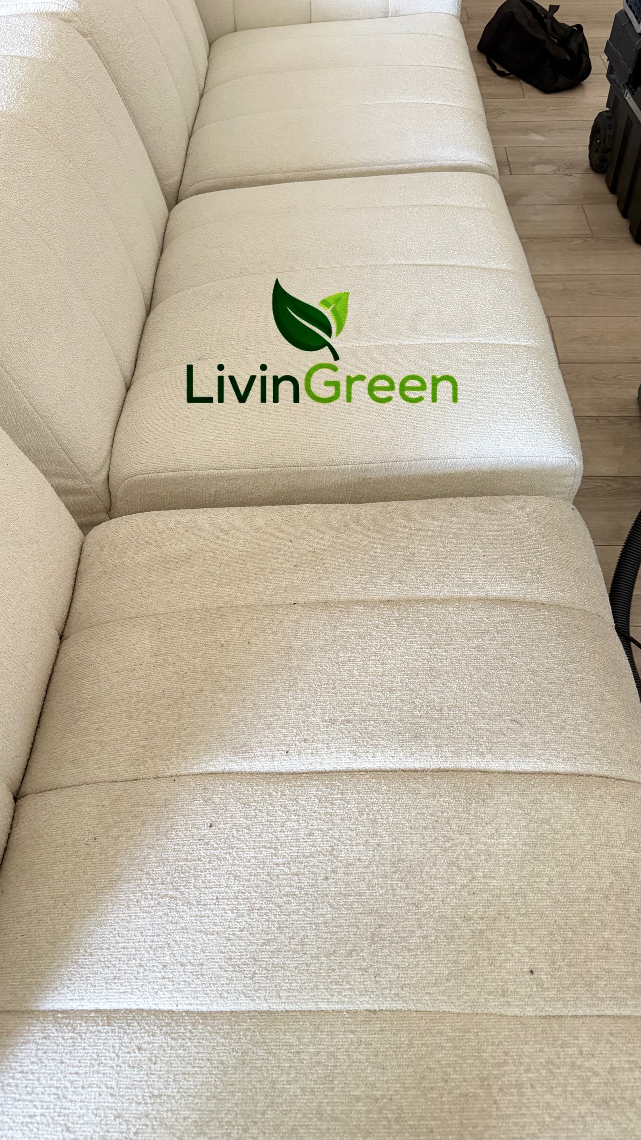 LivinGreen Professional Cleaning 13