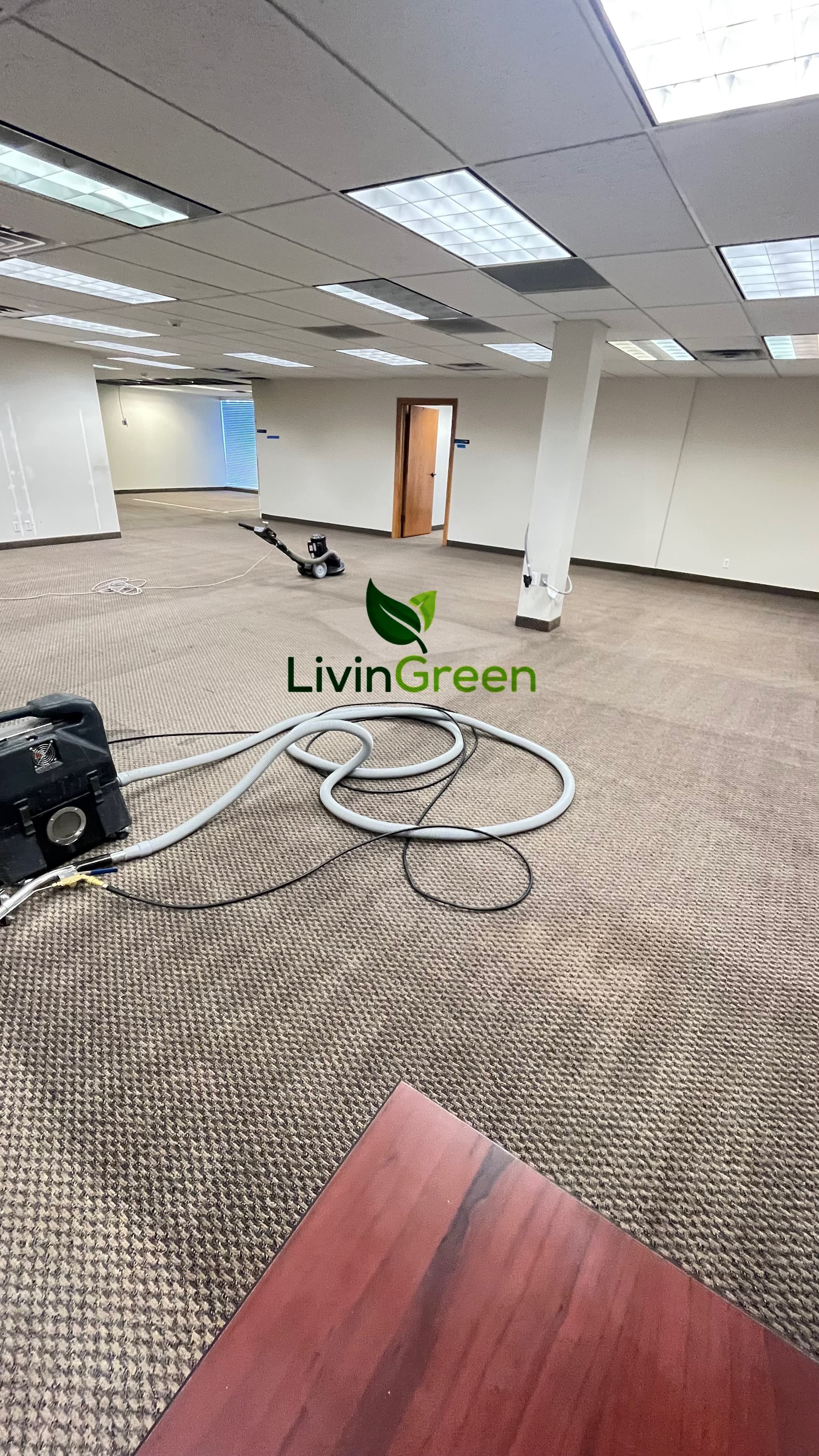 LivinGreen Professional Cleaning 14