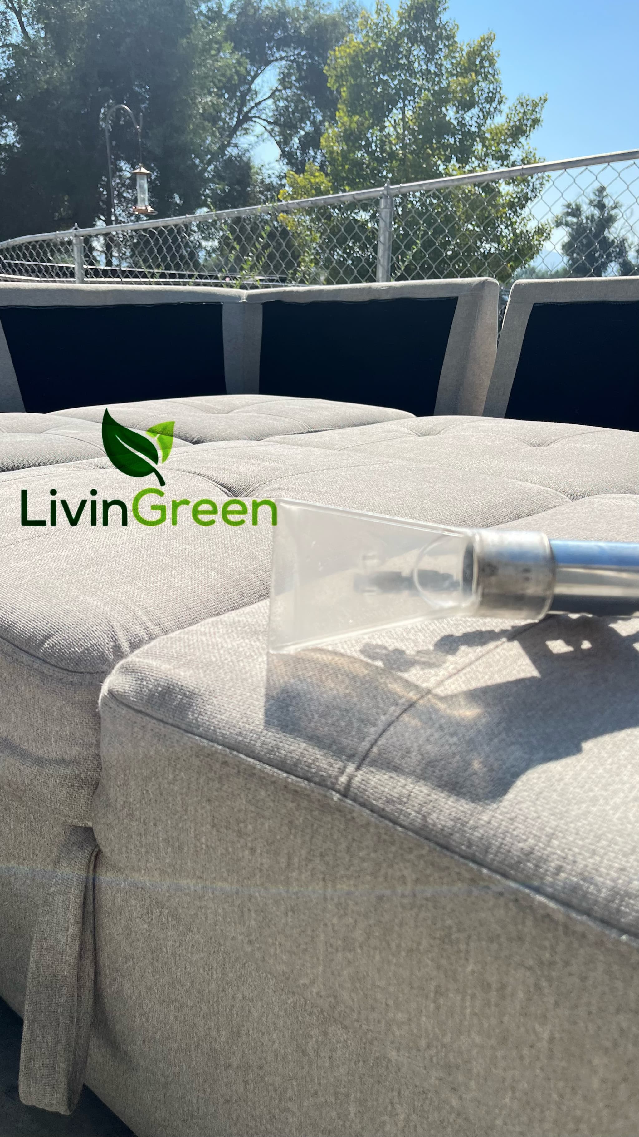 LivinGreen Professional Cleaning 15