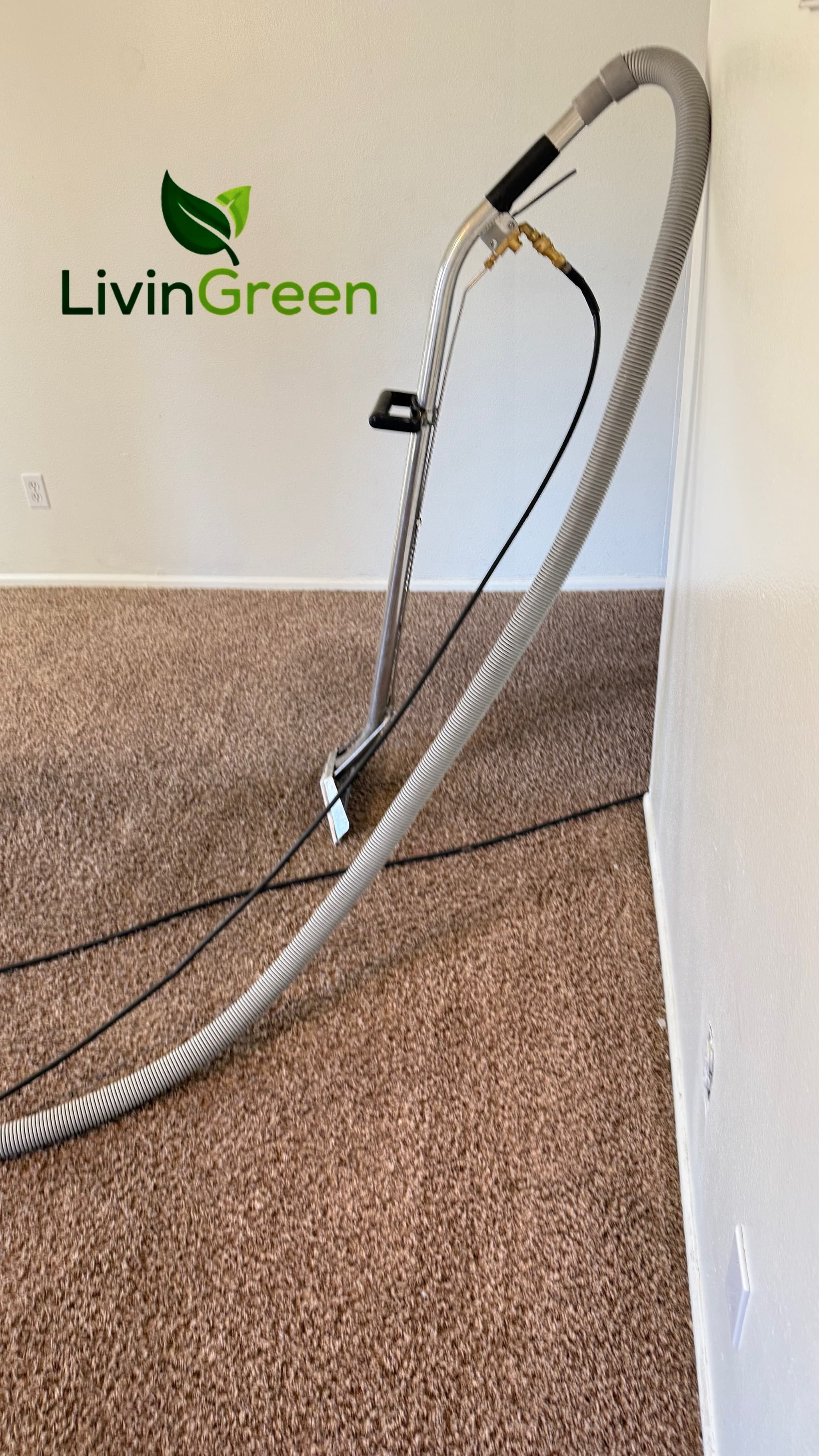 LivinGreen Professional Cleaning 17