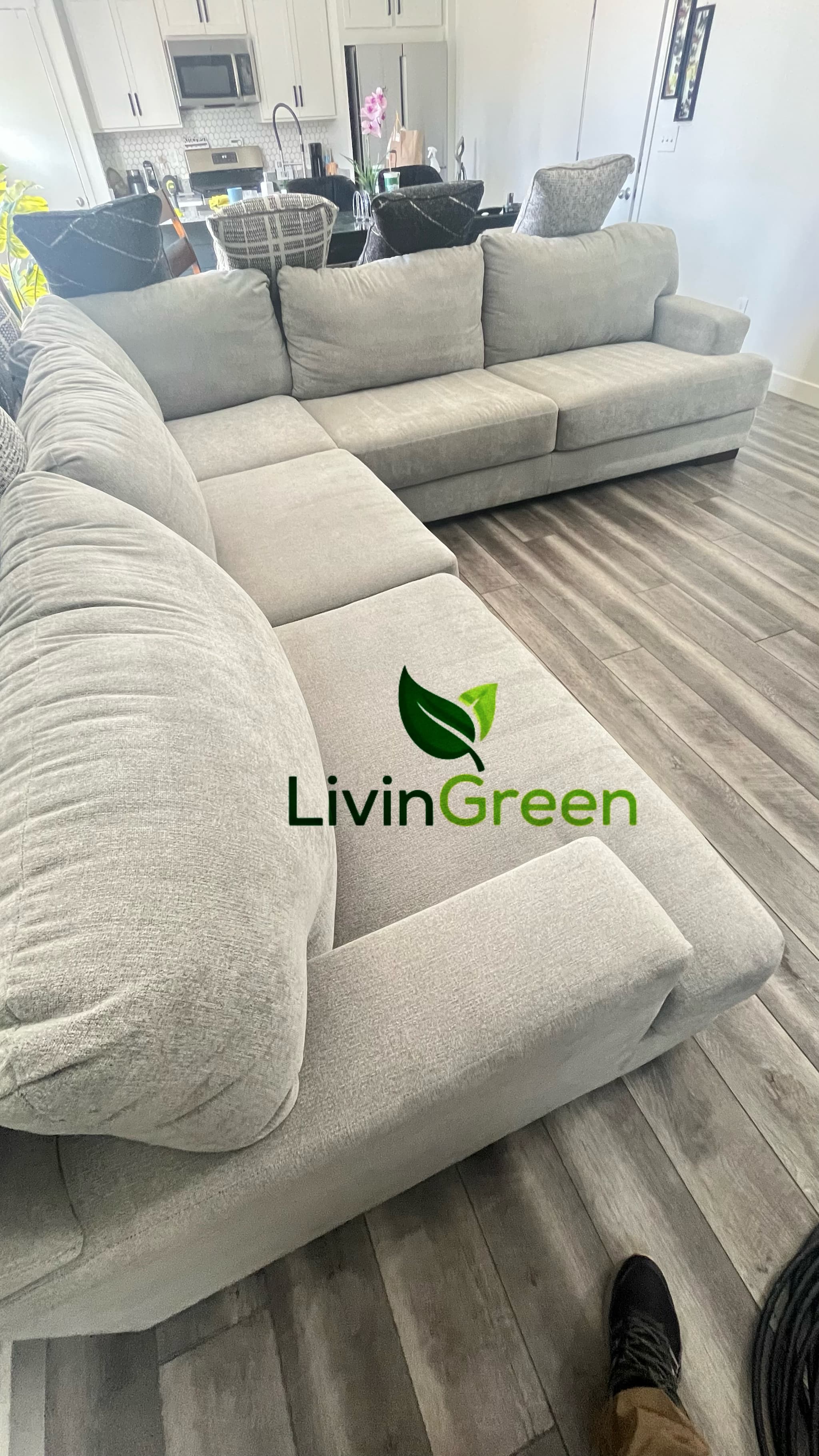 LivinGreen Professional Cleaning 18