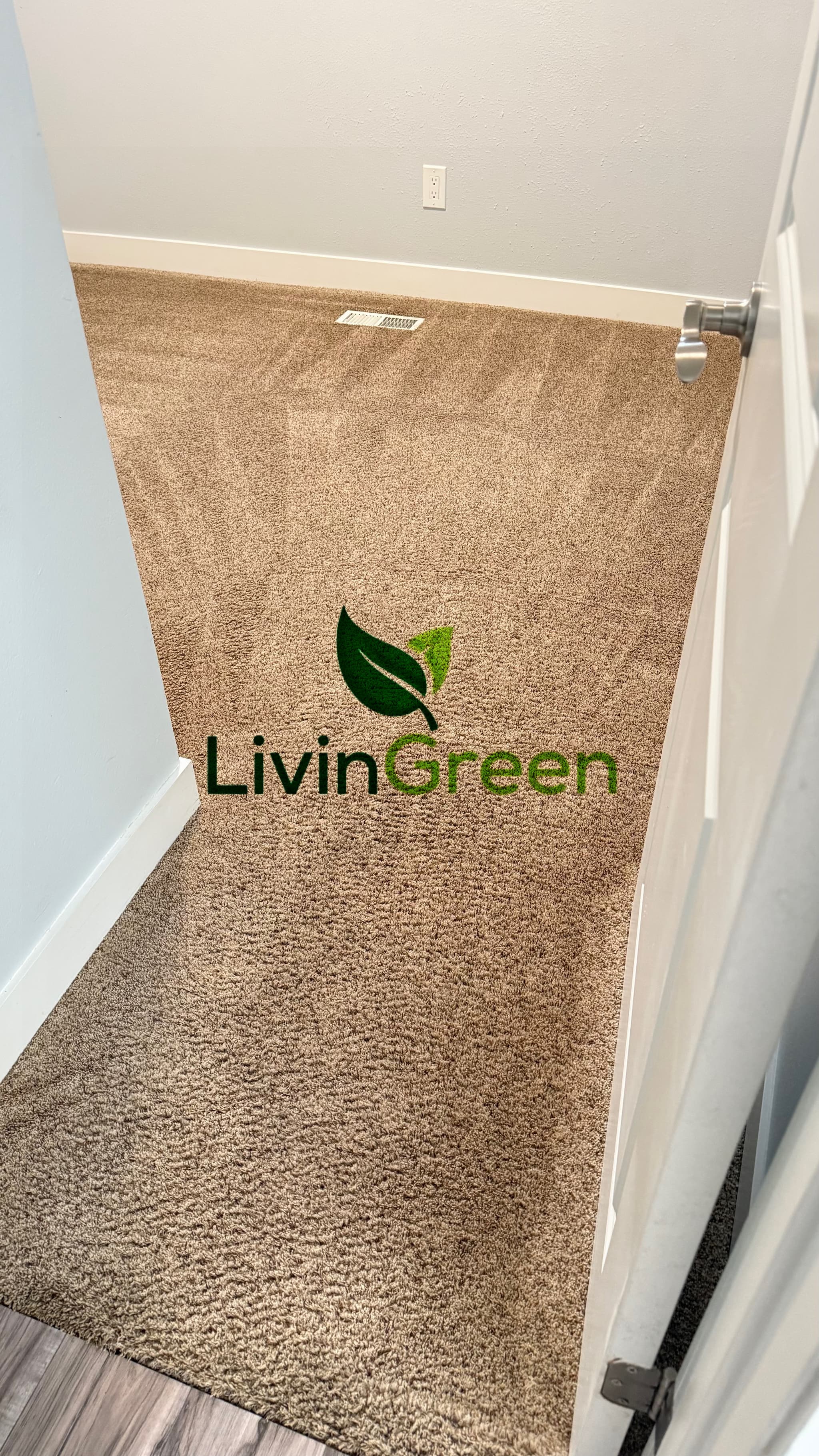 LivinGreen Professional Cleaning 2