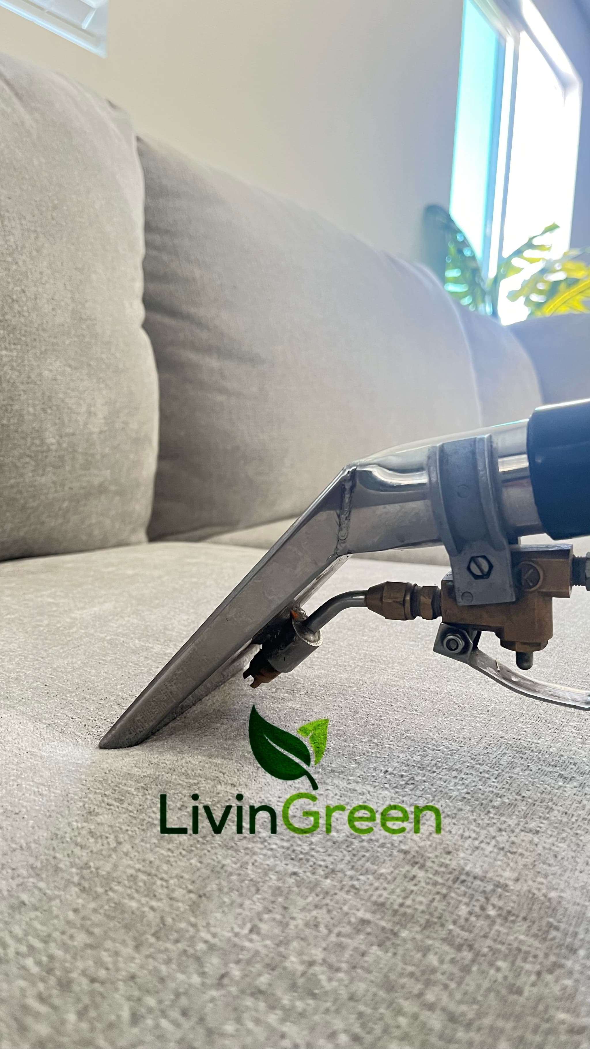 LivinGreen Professional Cleaning 20