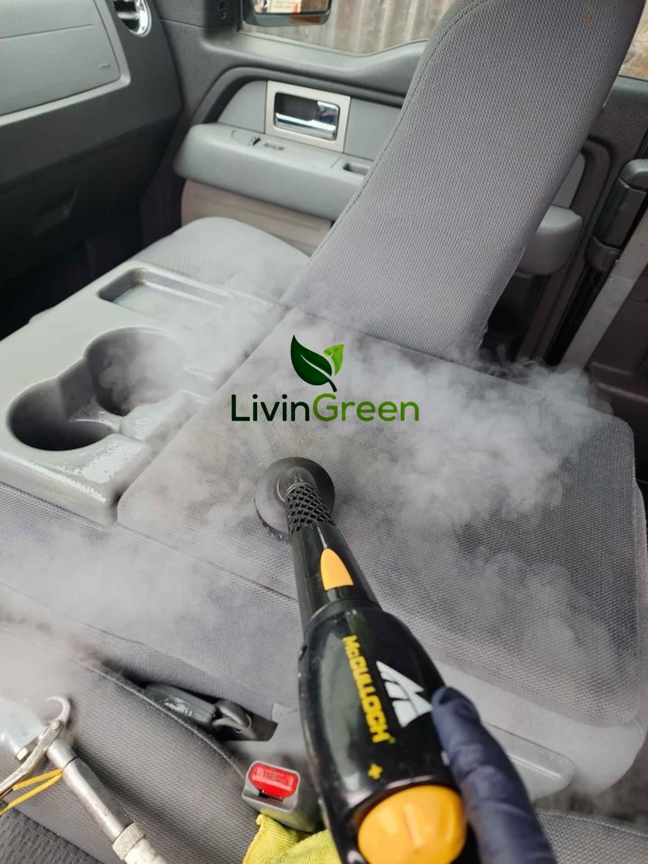 LivinGreen Professional Cleaning 25