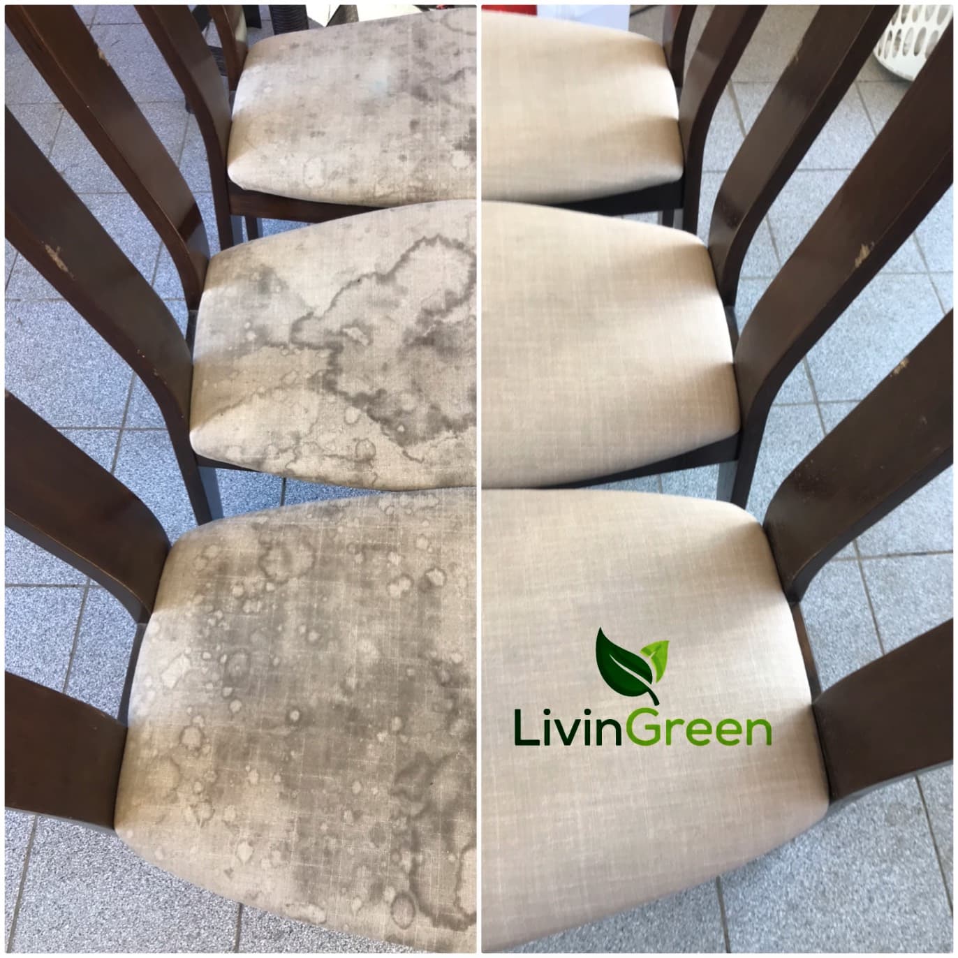LivinGreen Professional Cleaning 26