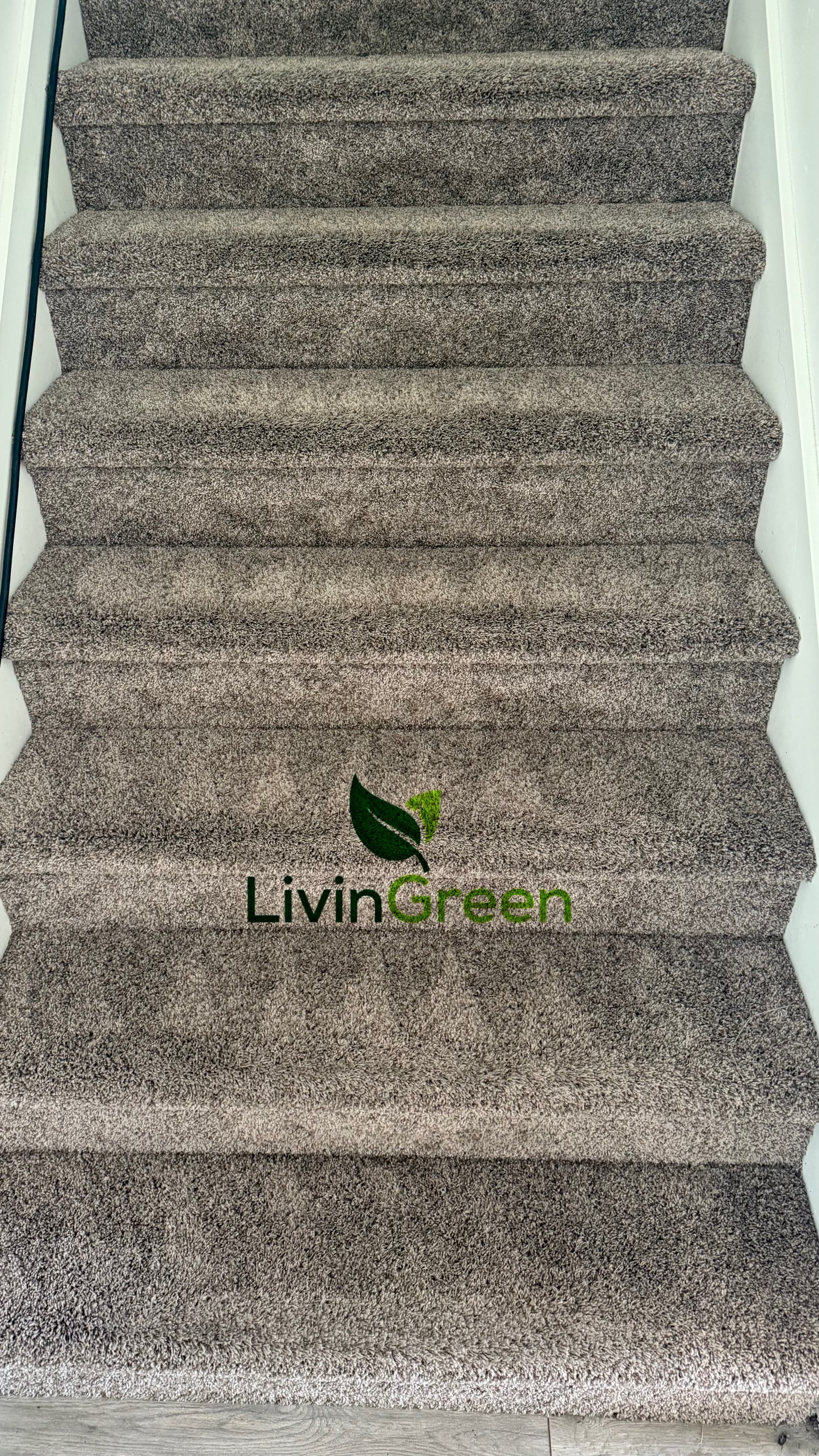 LivinGreen Professional Cleaning 27