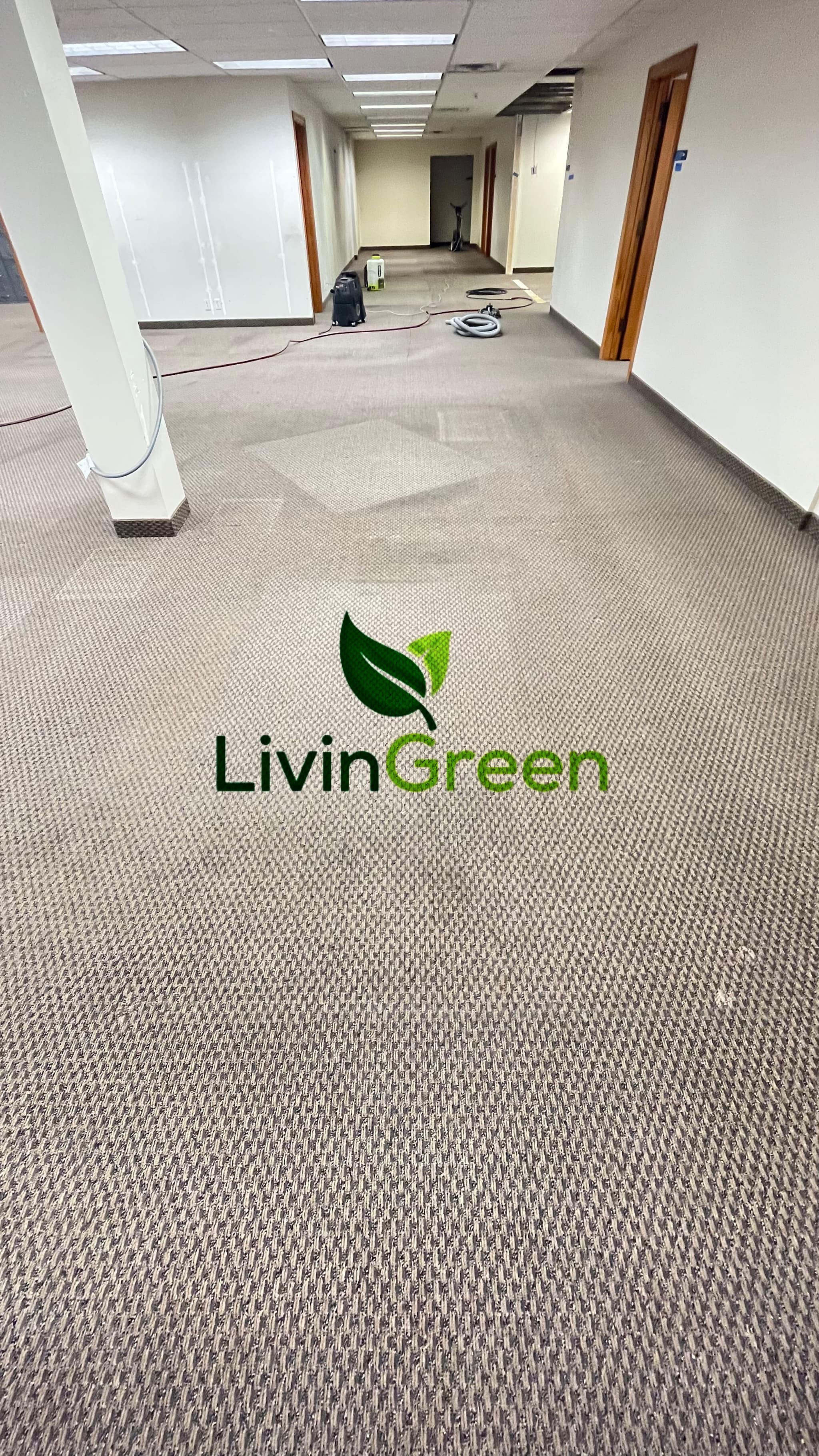 LivinGreen Professional Cleaning 3