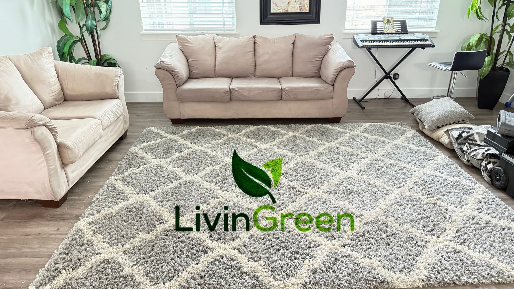 LivinGreen Professional Cleaning 5