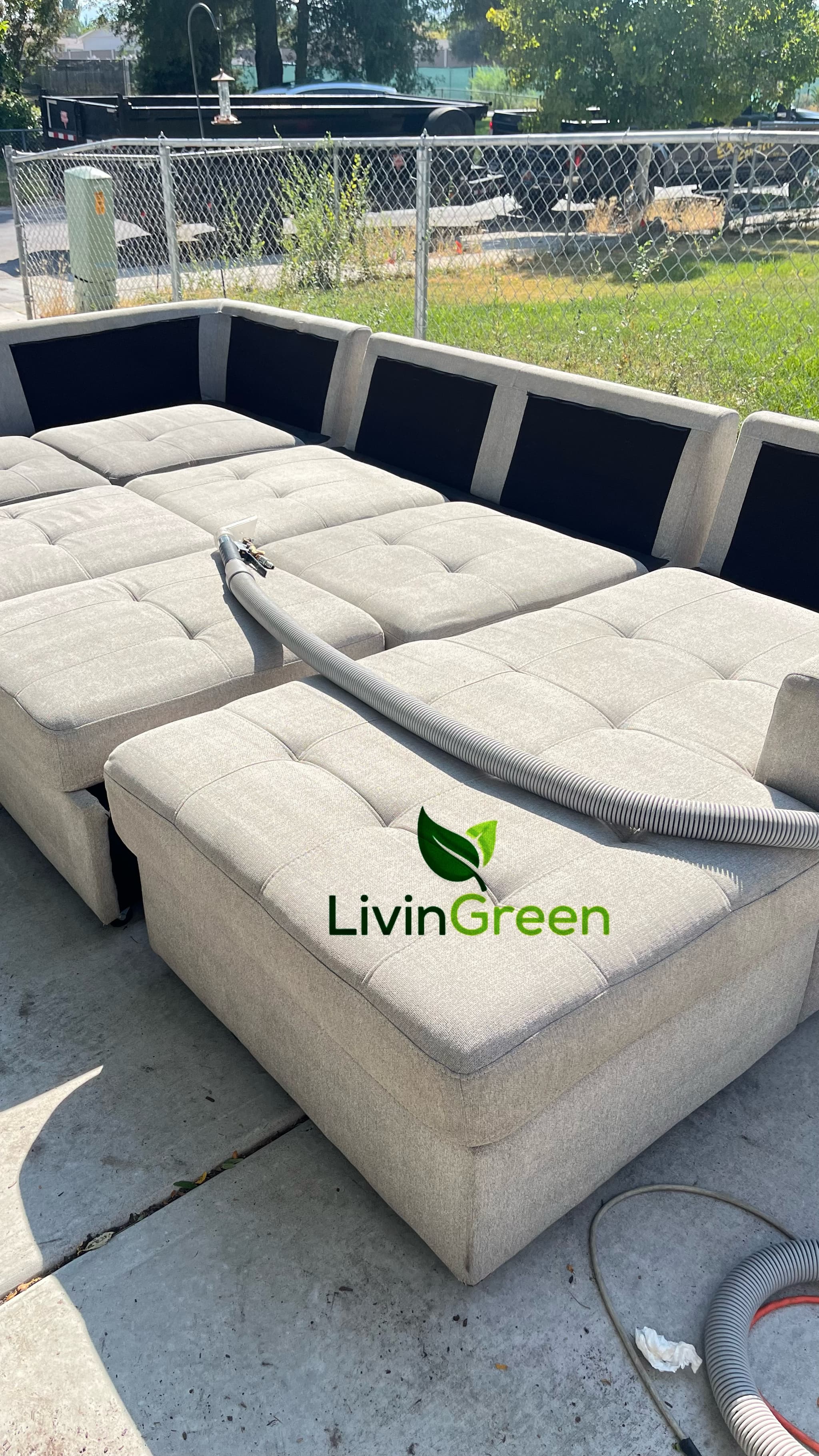 LivinGreen Professional Cleaning 7