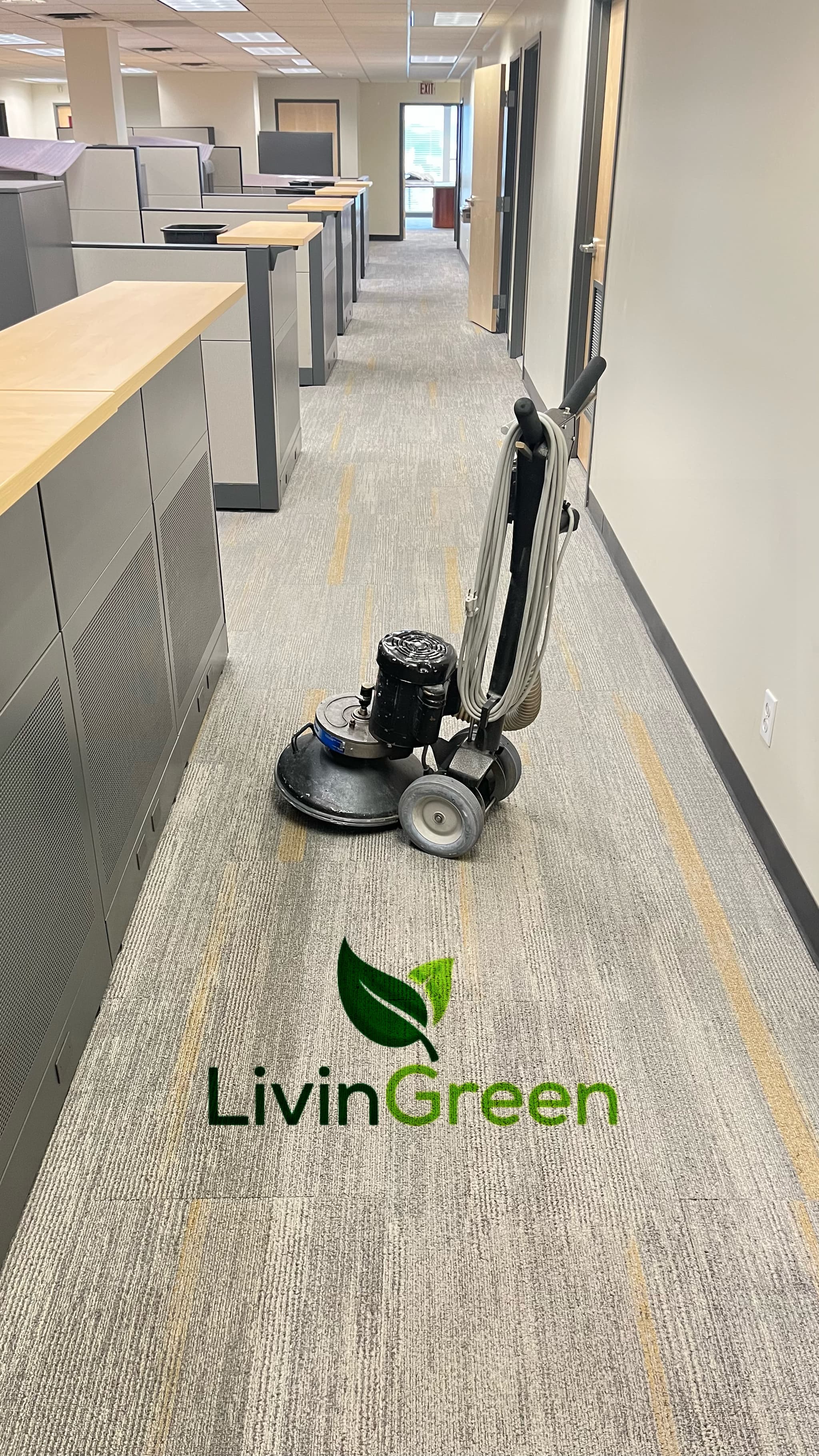 LivinGreen Professional Cleaning 8