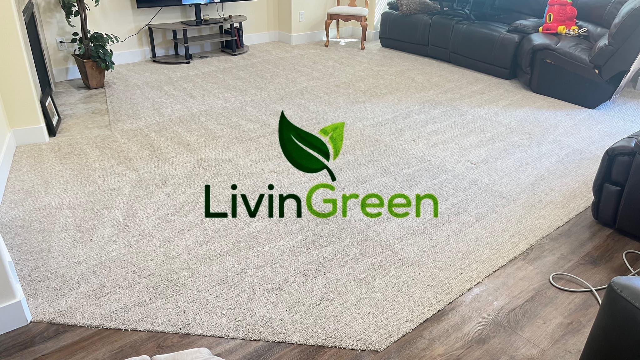 Professional upholstery and couch cleaning service in Utah County